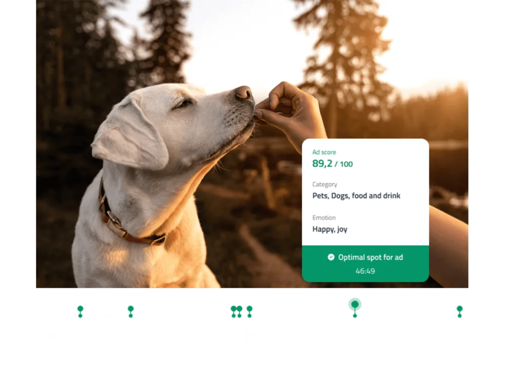 Video of a dog getting a treat and video being graded safe by ai